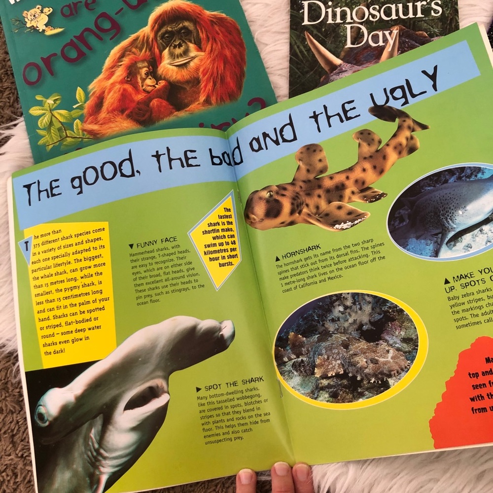 Set of 13 children learning books, nature - Picture 7 of 7